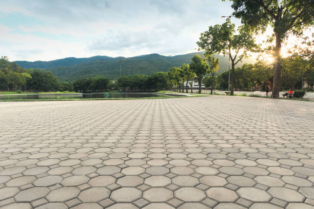 Best Professional Driveway Pavers  in Rosenhayn, NJ