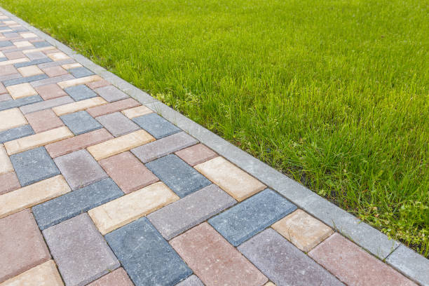 Best Residential Paver Driveway  in Rosenhayn, NJ